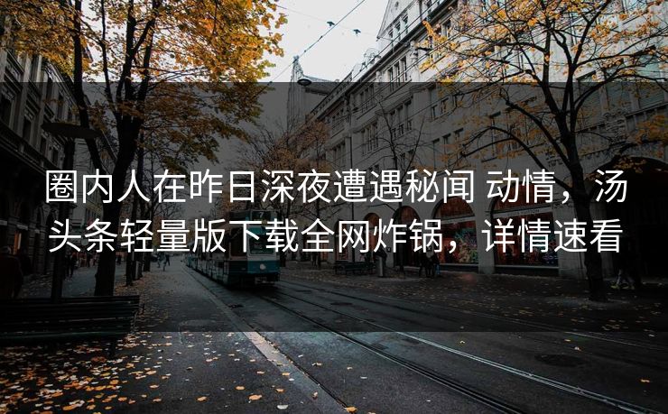 圈内人在昨日深夜遭遇秘闻 动情，汤头条轻量版下载全网炸锅，详情速看