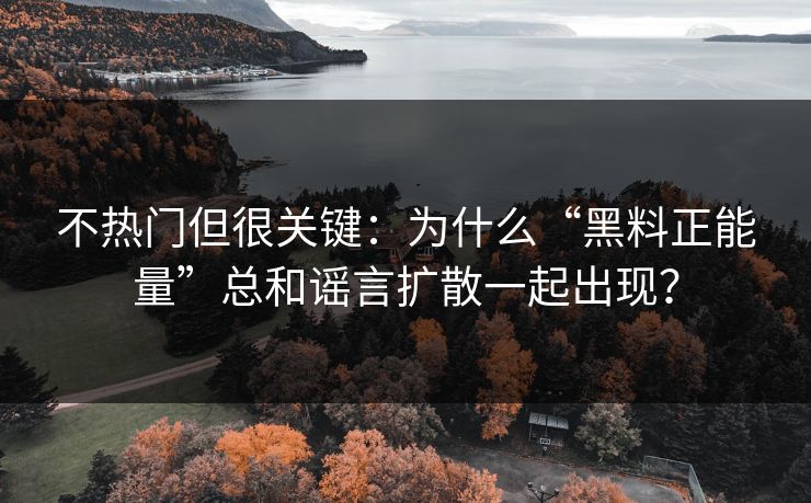 不热门但很关键：为什么“黑料正能量”总和谣言扩散一起出现？